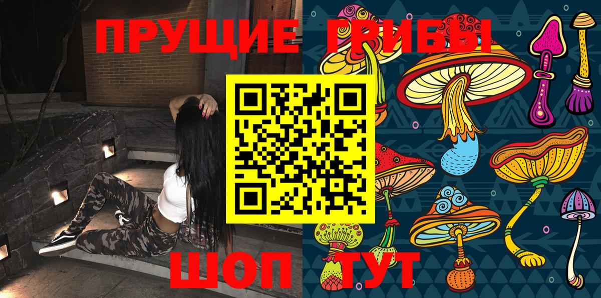 Псилоцибиновые грибы прущие грибы Гудермес