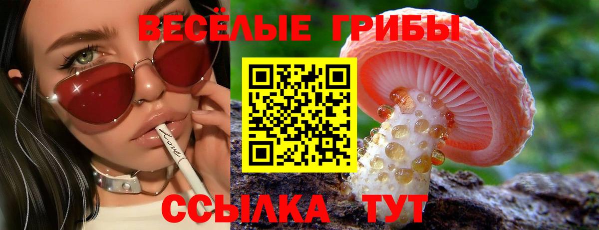 Галлюциногенные грибы MAGIC MUSHROOMS  Галлюциногенные грибы GOLDEN TEACHER  Гудермес  Вход с VPN 
